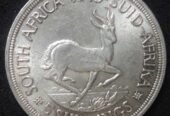 Cash Paid for Old Silver Coins.